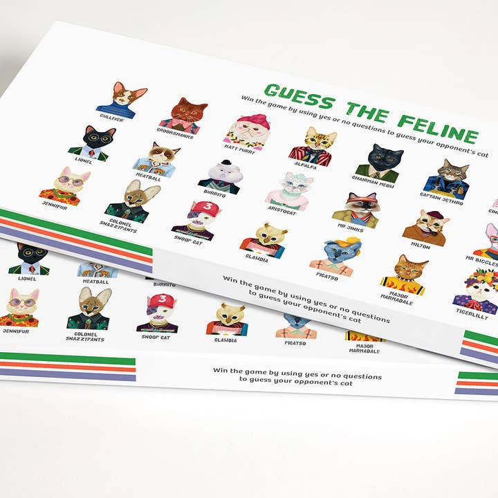 Journey of Something Guess the Feline Card Game box