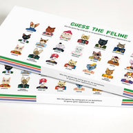 Journey of Something Guess the Feline Card Game box
