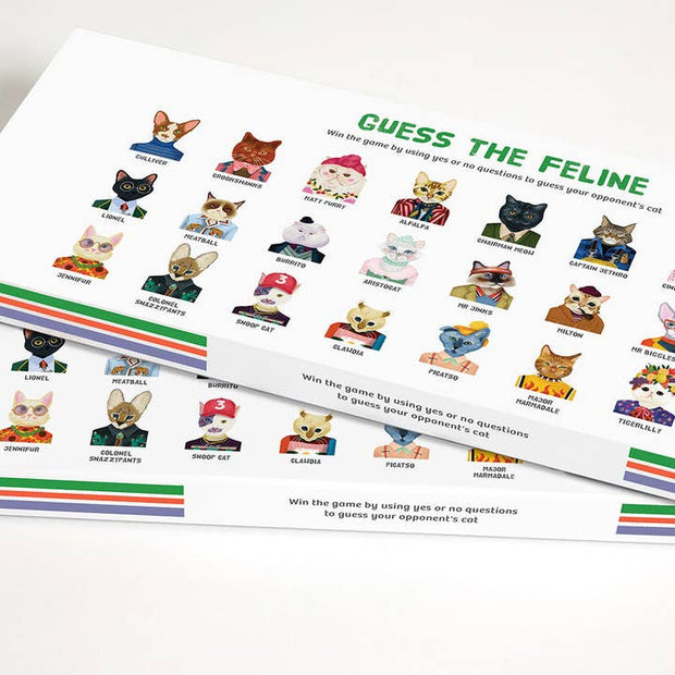 Journey of Something Guess the Feline Card Game box