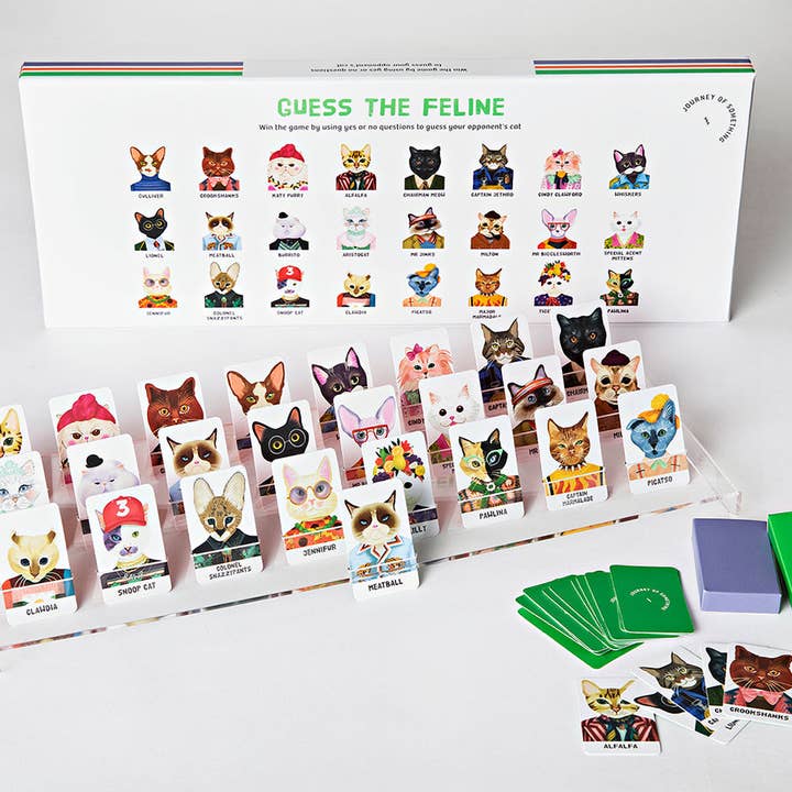 Fun family guessing game featuring illustrated cats by Lyn Paige