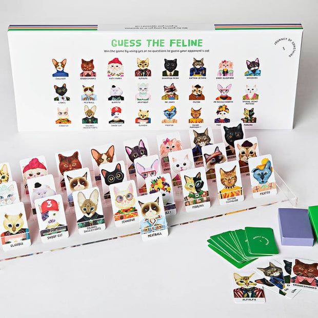 Fun family guessing game featuring illustrated cats by Lyn Paige