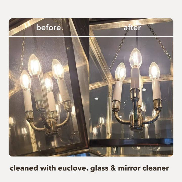 Glass & Mirror Cleaner