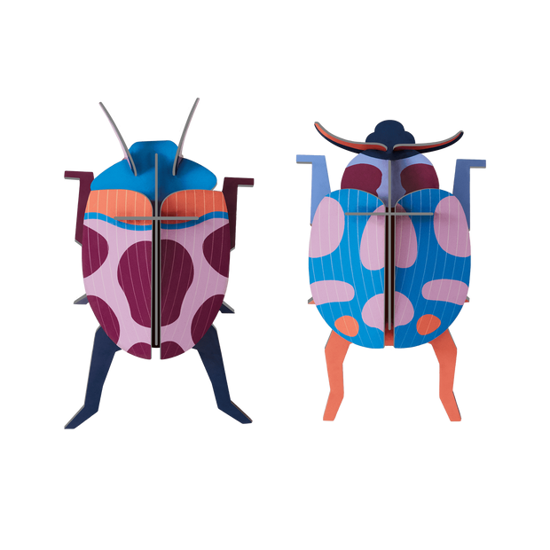Build-your-own coccinelle insect paper art set