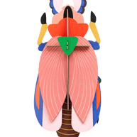 Build-your-own giant lady beetle statement paper art