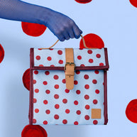 Insulated lunch satchel with magnetic flap closure