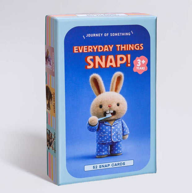 Journey Of Something Everyday Things Snap card game box
