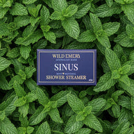 Mint and menthol shower steamer for sinus relief and aromatherapy
