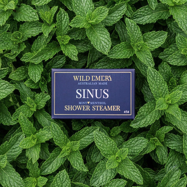 Mint and menthol shower steamer for sinus relief and aromatherapy