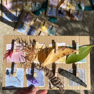 Eco Paints - Natural Plant-Based Paint Set