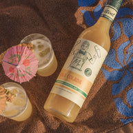 Piña Colada mixer — pineapple & coconut flavour – Mr Consistent