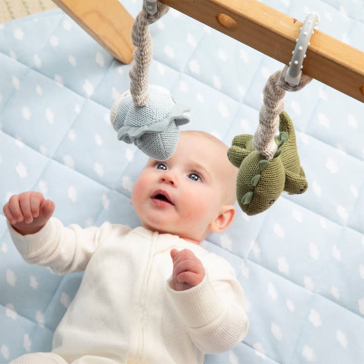 Living Textiles 2pk Stroller Toys – Dinosaur baby pram toy set