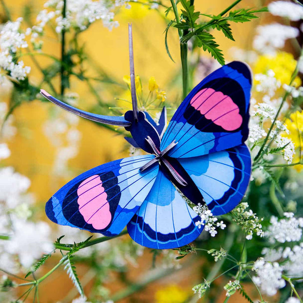 Studio Roof Peacock Butterfly 3D paper wall art