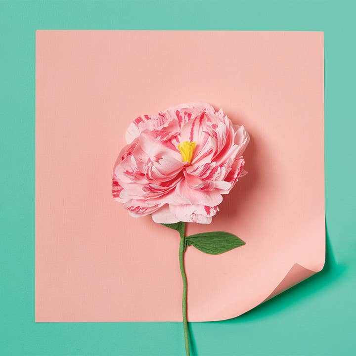 Creative art kit to make paper flowers with crepe paper and paint