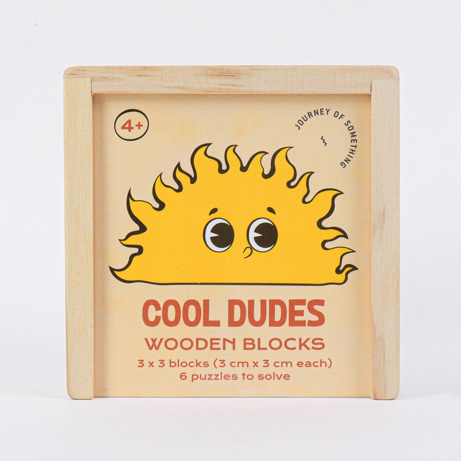 Journey of Something Cool Dudes Wooden Blocks puzzle set with tray and reference pamphlet