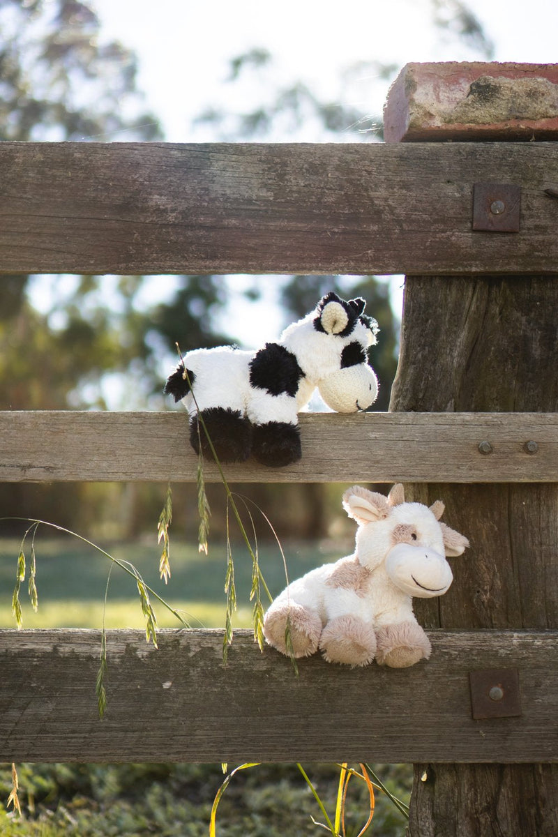 Coco the Cow – Nana Huchy