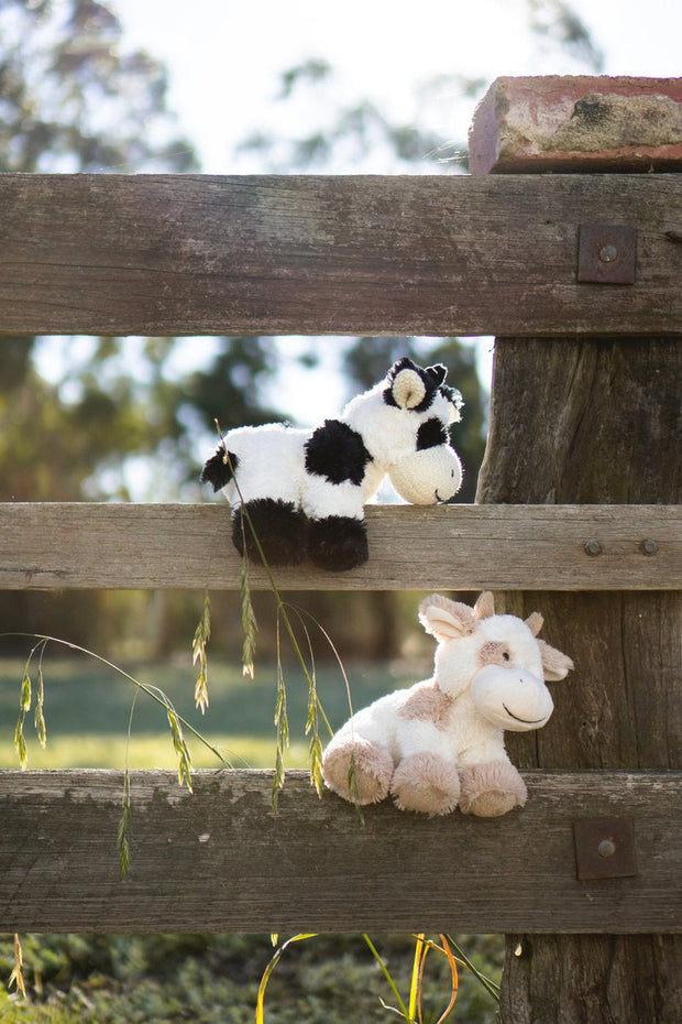 Coco the Cow – Nana Huchy