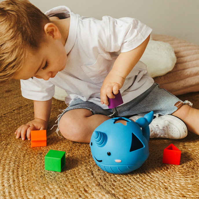 Silicone narwhal shape sorter with five shapes