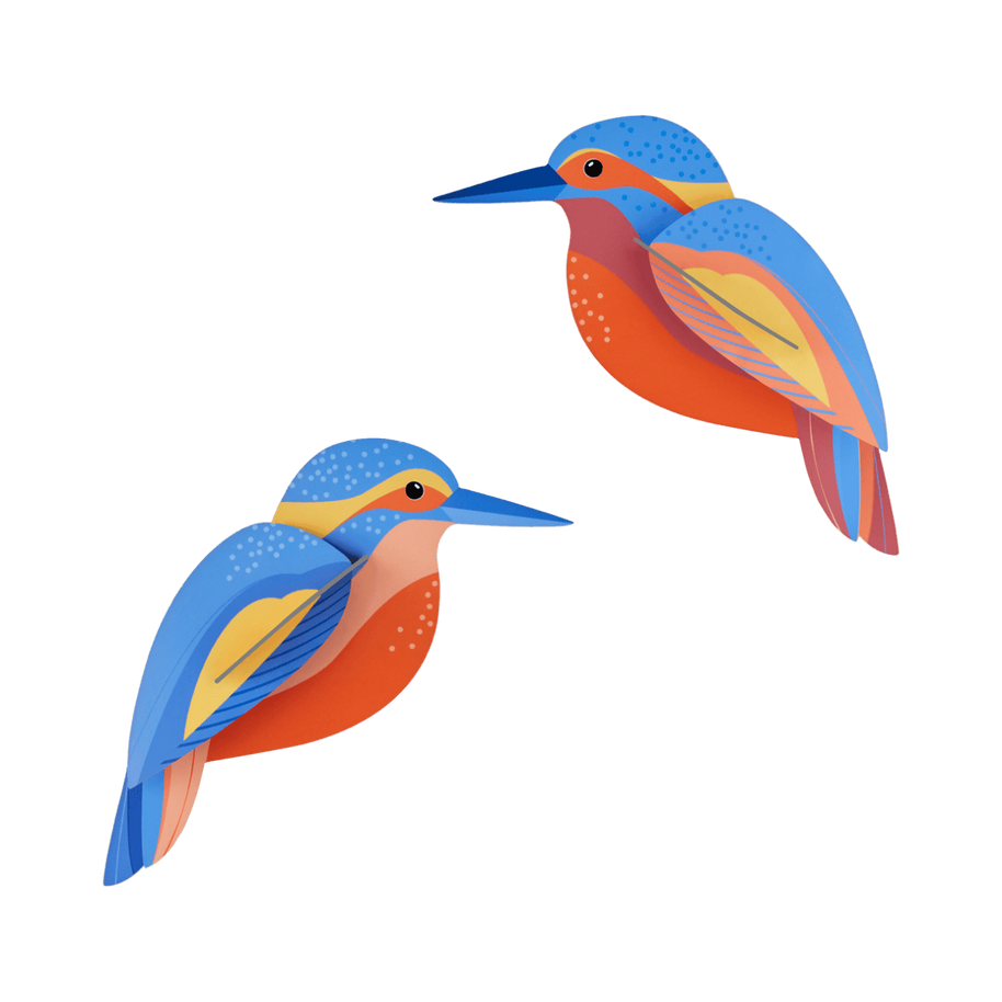 Build-your-own kingfisher nature themed paper art