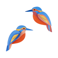 Build-your-own kingfisher nature themed paper art